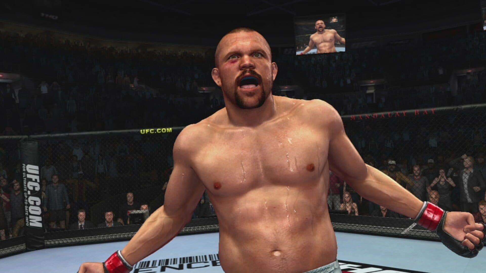 UFC 2009 Undisputed screenshot 10