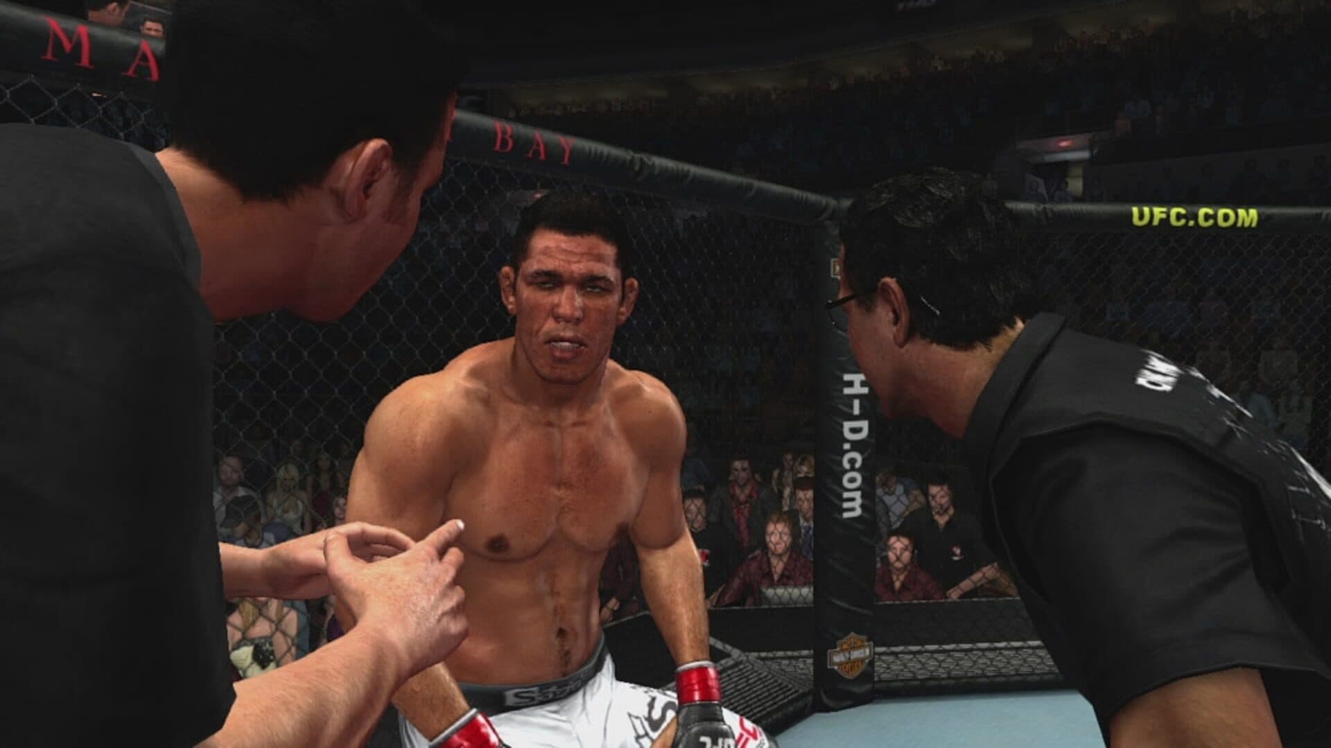 UFC 2009 Undisputed screenshot 12