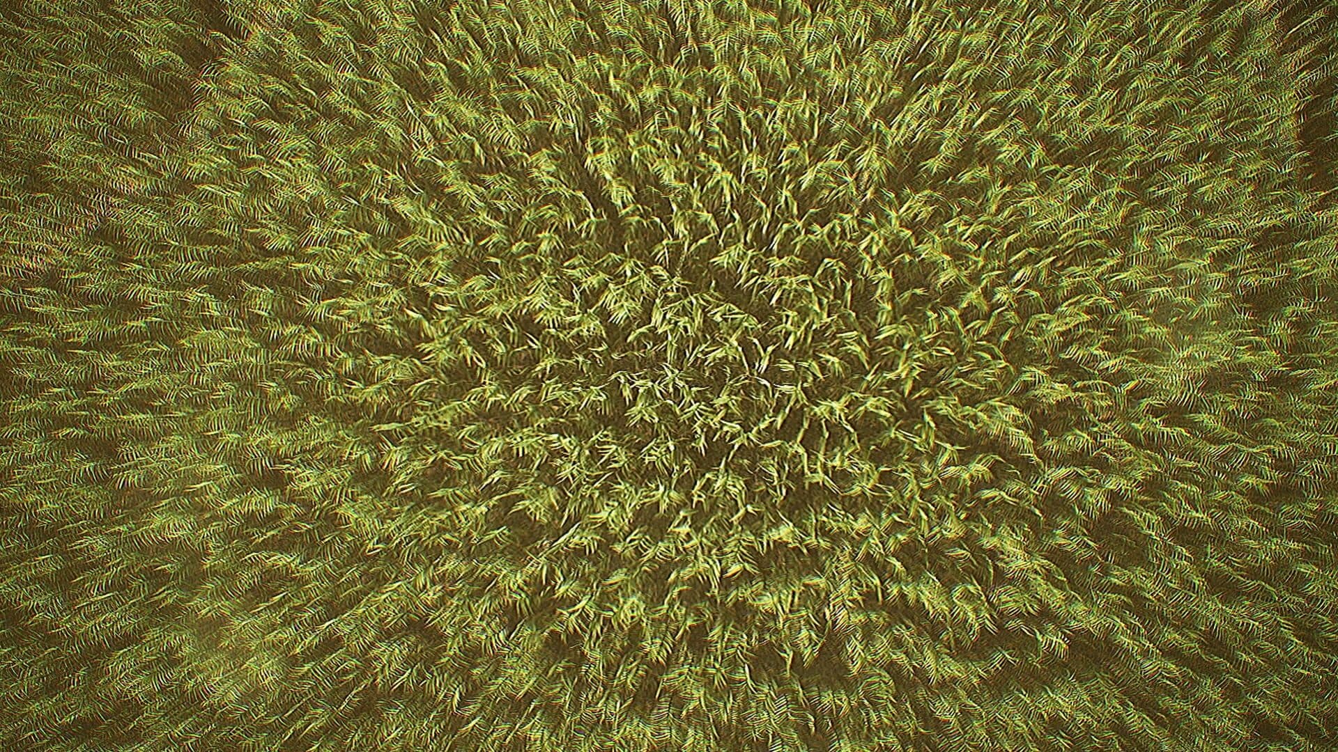 Outfield screenshot 5